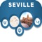Seville Spain Offline City Maps Navigation