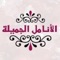 The application of "AL Anamel Al Jamilah" provides resources to what needs of women and the family of different products and services