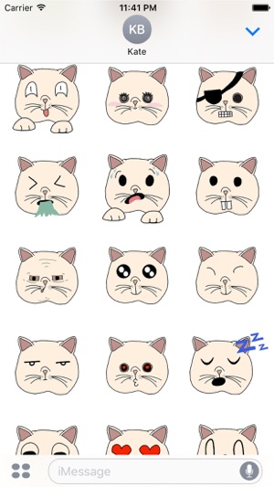 Funny Crazy Cat Stickers(圖2)-速報App