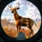 Wild Hunter Challenge 2017 : 3D Deer Hunting Games