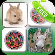 Activities of Doodle Pair Animals! Domestic&Pets - Photo Match Up Game Free Version (Picture Match)