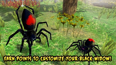 Black Widow Insect Spider Life Simulator By Tayga Games Ooo Ios United States Searchman App Data Information - spiders eat ants roblox