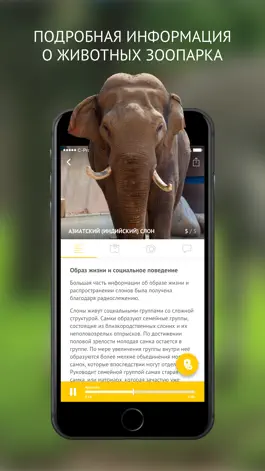 Game screenshot Московский государственный зоологический парк apk