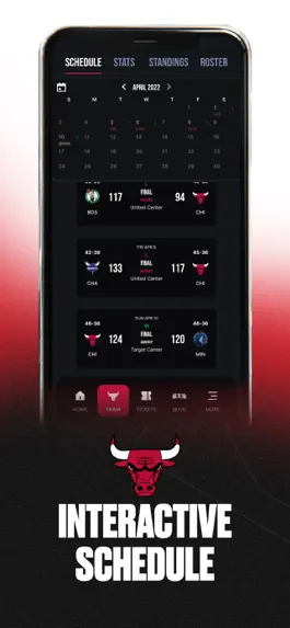 Game screenshot Chicago Bulls apk