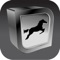 Equine Radiography is an App aimed to help you take first class diagnostic X-rays of the horse