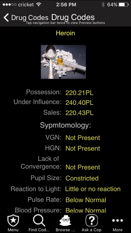 New York - Pocket Brainbook screenshot-4