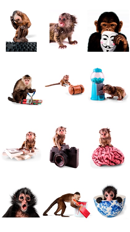 Weird Monkey - Sticker Pack