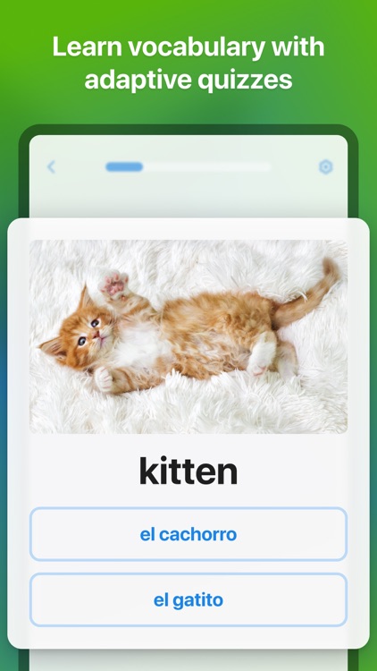 SpanishDict Spanish Translator screenshot-3