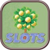 City Of Slots Machines - Casino Gambling