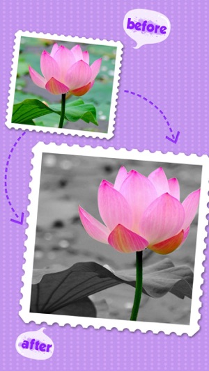 Color Editor - Photo Recolor & Background Eraser(圖4)-速報App