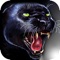 Ultimate Revenge of Black Panther Hunting Animals