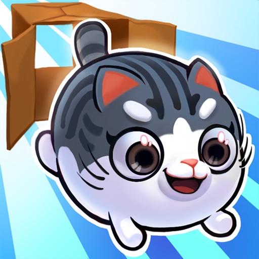 Kitty in the Box 2 - A box diving adventure!