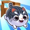 Join Sushi in this Kitty in the Box sequel as they dive into the world of Boxing -- no, not the one with punching and gloves