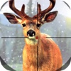 Forest Deer Master Shoot