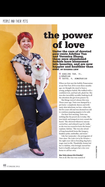 Pets Magazine