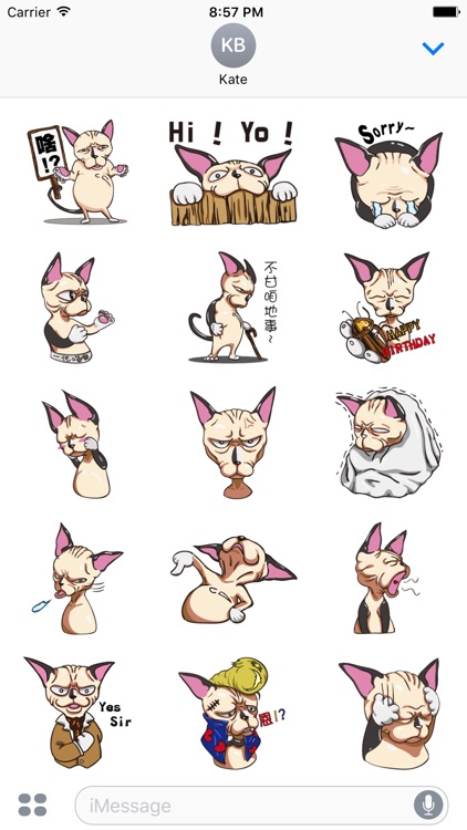 Tiger the Sphynx Cat. Stickers by Design73