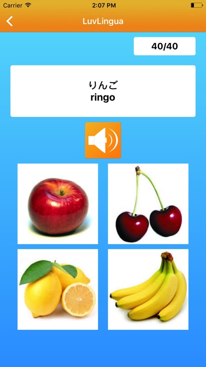 Learn Japanese Language LuvLingua Pro