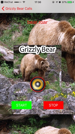 Real Grizzly Bear Hunting Calls & Sounds(圖1)-速報App