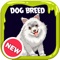 Knowledge of Dog breed in the worlds