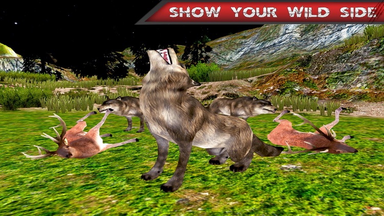 Angry Wild Wolf Jungle Attack screenshot-3