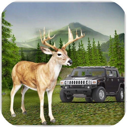 Deer Wild Hunter 3D - Sniper Shoot Animal icon