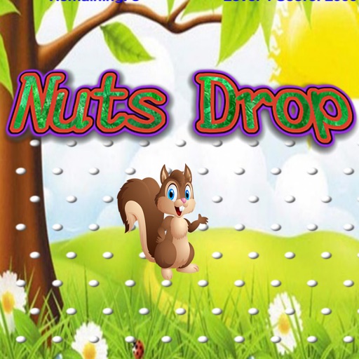 Nuts Drop Icon