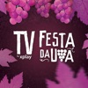 TV Festa da Uva