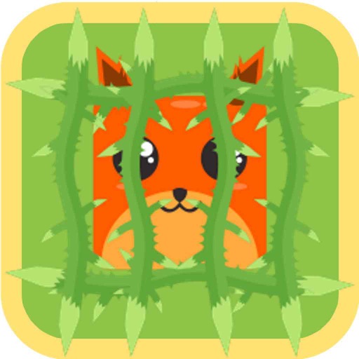 Animal Jungle iOS App