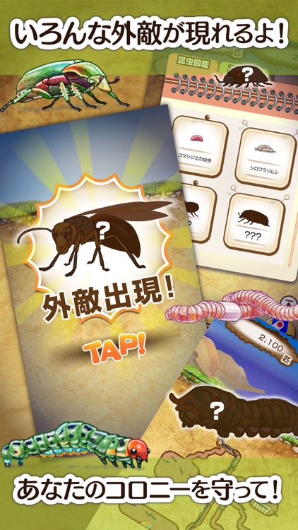 アリの巣コロニー - ほのぼの観察育成ゲーム