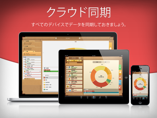 Money for iPadでマネー管理のおすすめ画像5