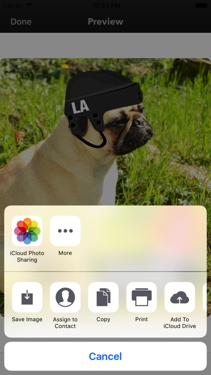 LA Hockey Stickers & Emojis screenshot-4
