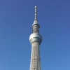 Skytree Camera