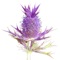 The Botanical Research Institute of Texas (BRIT) and High Country Apps have partnered to produce the new FLORA OF TEXAS: FORT WORTH PRAIRIE plant identification app for mobile devices