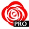 ** If you are using a Thursby PKard Reader and do not need support for derived credentials you can download the Sub Rosa app at no cost