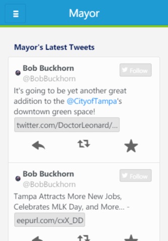 City of Tampa screenshot 4