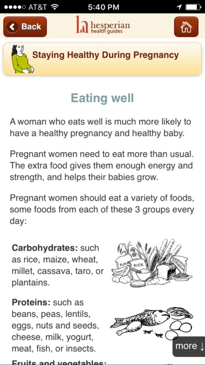 Safe Pregnancy and Birth