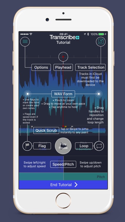 Transcribe+ screenshot-4