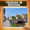 Freiburg im Breisgau Travel Guide