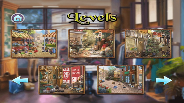 Hidden Object: Shop Day