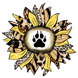 The Leopard Sunflower