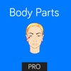 Body Parts Flashcard for babies and preschool Pro