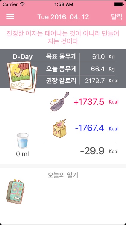 다이어트 일기 (DD - Diet Diary)