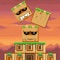 Mayan Tower - Stack the Blocks