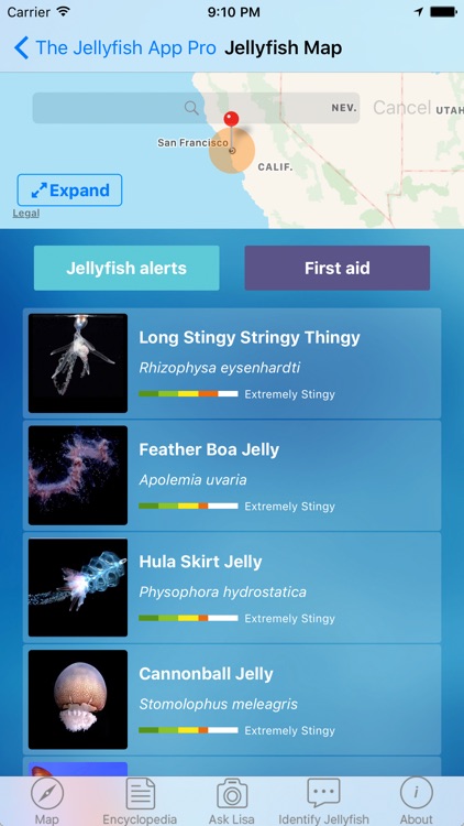 The Jellyfish App Pro