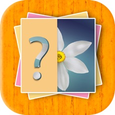Activities of Flower Quiz Kids Game