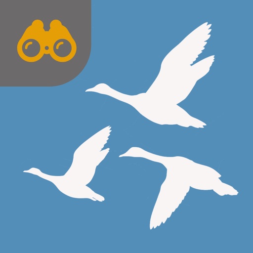 UK Seabird Guide icon