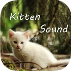 Kitten Sounds – Cat Meow Sound