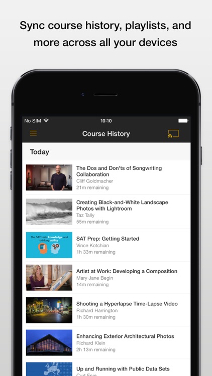Lynda.com screenshot-3