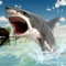 Icon Hunter Shark Simulator: Sea Attack 3D