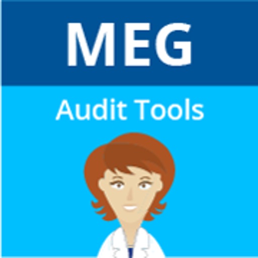 MEG Audit Tool icon